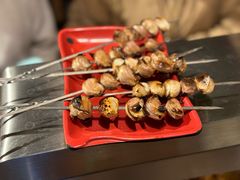 -柿子树炭烤羊腿(金台路店)