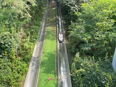 -富斯特索道