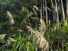 -东天目山风景区