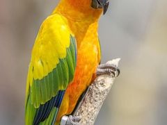 -乐和乐都主题乐园