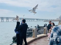 -黑石礁公园