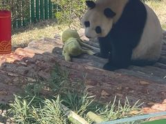 -大连森林动物园