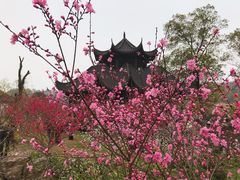 -常德桃花源景区