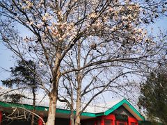 -国家植物园南园