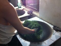 iphone_upload_pic-依福园农家乐