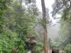 -青城山