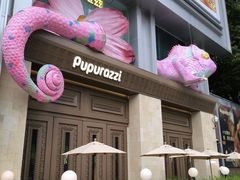 -帕帕拉兹宠物(亚洲旗舰店)