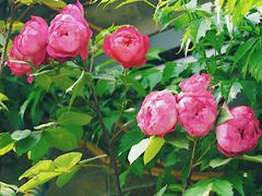 -回龙窝历史文化街区