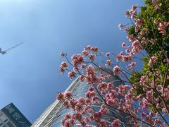 -艾薯夫妇Aysh(福田星河COCOPark店)