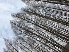 -杭州少年儿童公园