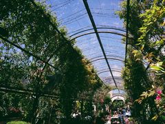 -The Grounds of Alexandria