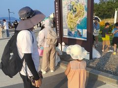 -小麦岛公园