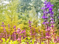 -中家鑫园温泉酒店鑫悦汤泉