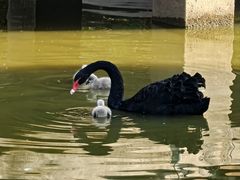 -无锡动物园·太湖欢乐园