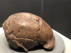 -北京周口店北京人遗址博物馆