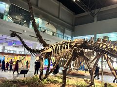-自贡恐龙博物馆