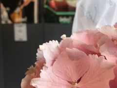 -Seesaw Coffee(上生新所店)