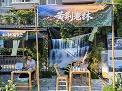 -黄荆老林