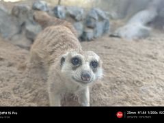 -深圳野生动物园