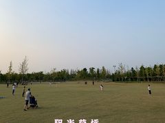 -上海长兴岛郊野公园