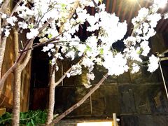 iphone_upload_pic-春天里·老街坊餐厅(港隆广场店)