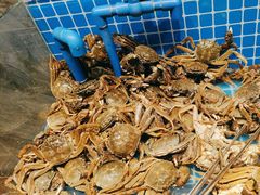-犇放和牛烤肉·烤榴莲自助(苏宁城市奥莱店)