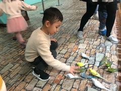 -上海大自然野生昆虫馆(东方明珠·爬宠昆虫探索中心)