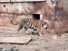 -昆明动物园