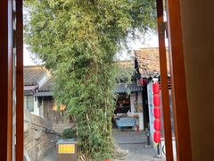 -合肥滨湖国家森林公园