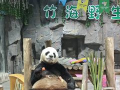 -栾川竹海野生动物园