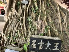 -神光山国家森林公园