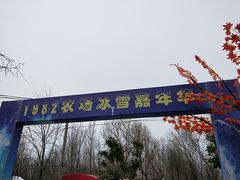 -1982农场