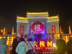 -大槐树寻根祭祖园