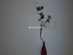 -张记酒楼(恒生·欧洲城店)