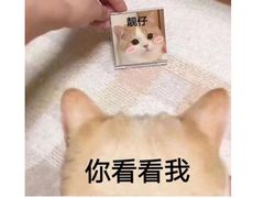 -鼎尊锅物料理(五角场店)