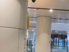 -麦当劳(北京大兴机场二层国内到达(安检外)店)