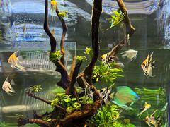 -迪拜水族馆及水下动物园