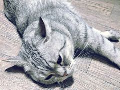-小时光咖啡馆(开森度假森林店)