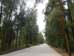 android_upload_pic-漩门湾国家湿地公园