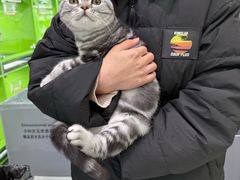 -唐小姐の猫狗洗护·购宠旗舰店(周浦万达店)