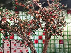-番食园鲜食火锅(高新店)