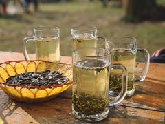 -两河城市森林公园