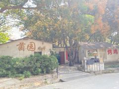 -梧桐山风景名胜区