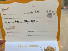 -lincat·猫舍(广州店)