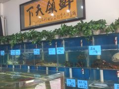 水产区-鑫悦楼煎蟹·16年海鲜大排档