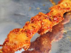 -福苗小骆驼烧烤(中关村店)