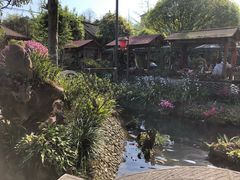 景观位-青城甲(青城山店)