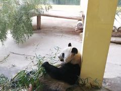 -杭州野生动物世界