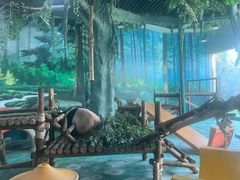 -五龙山野生动物王国