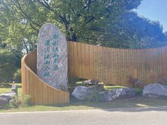 -荷塘月色湿地公园·向阳花洲